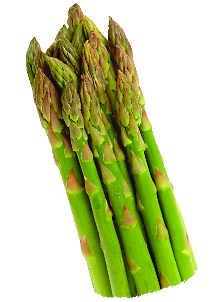 asparagus