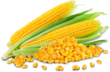 corn