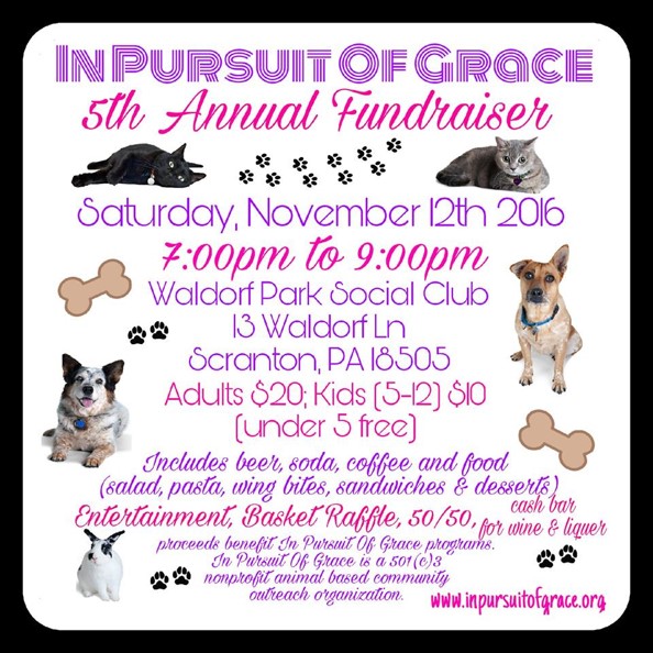 animal-fundraiser-ad