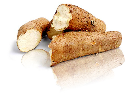 productYucca